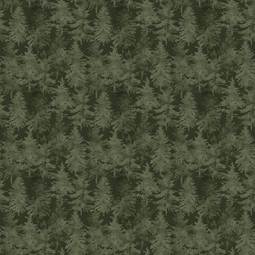 Natures Window - Trees Forest