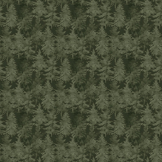 Natures Window - Trees Forest