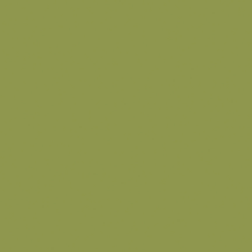 Confetti Cottons - Olive