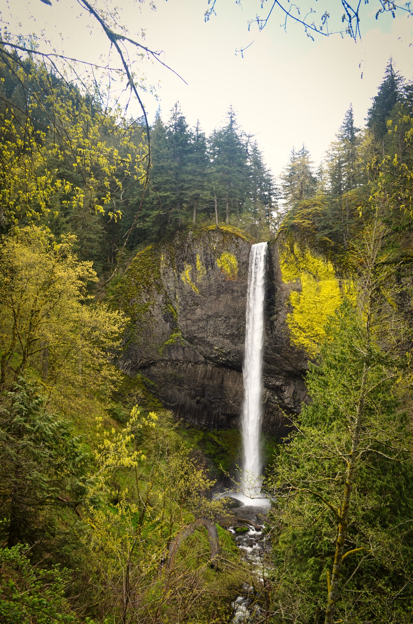 Latourell Falls